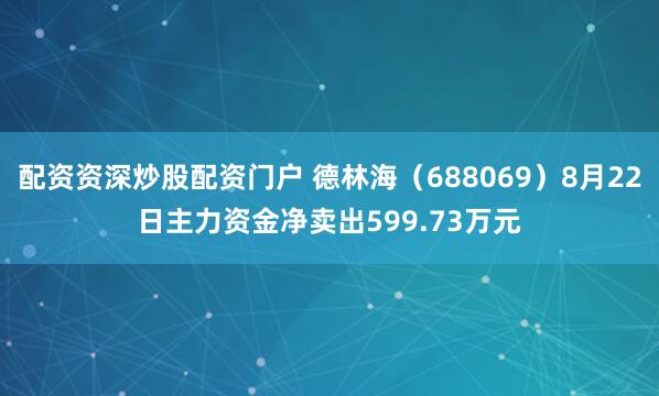配资资深炒股配资门户 德林海（688069）8月22日主力资金净卖出599.73万元