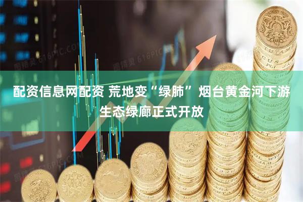 配资信息网配资 荒地变“绿肺” 烟台黄金河下游生态绿廊正式开放